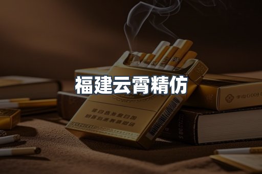 福建云霄精仿